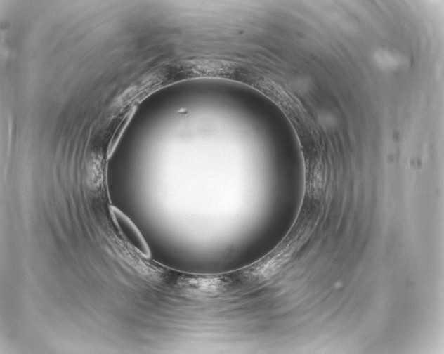 X0000088150478200705141553