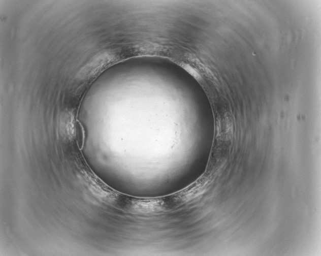 X0000088150479200705141553