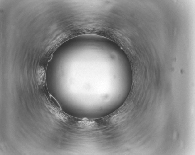 X0000088150480200705141553