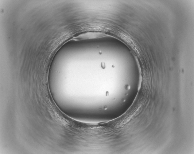 X0000088150481200705141552