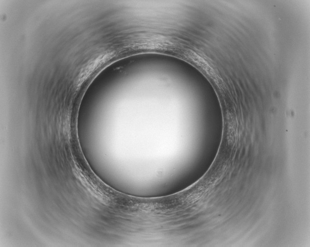 X0000088150482200705141552