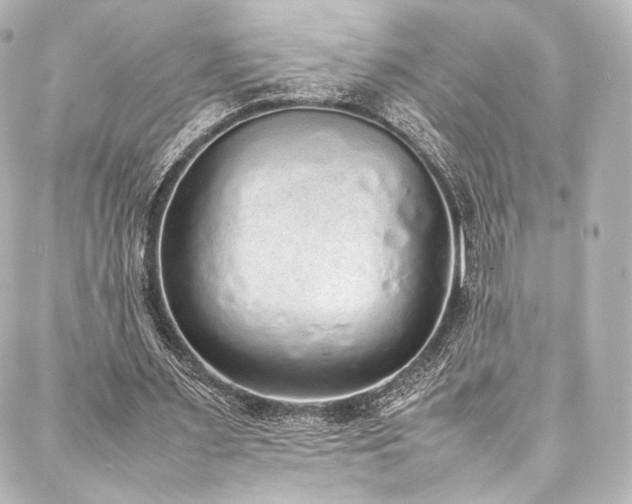 X0000088150483200705141552