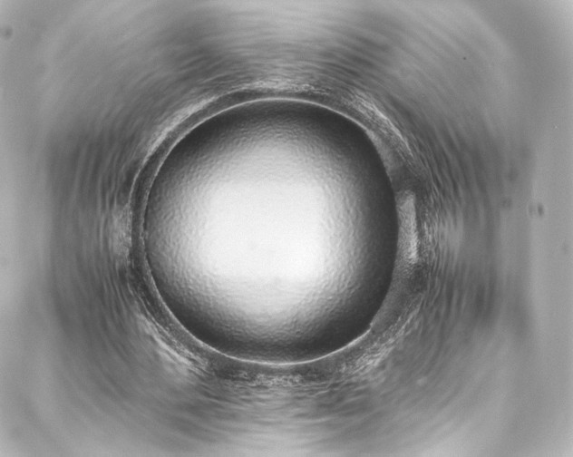 X0000088150484200705141552