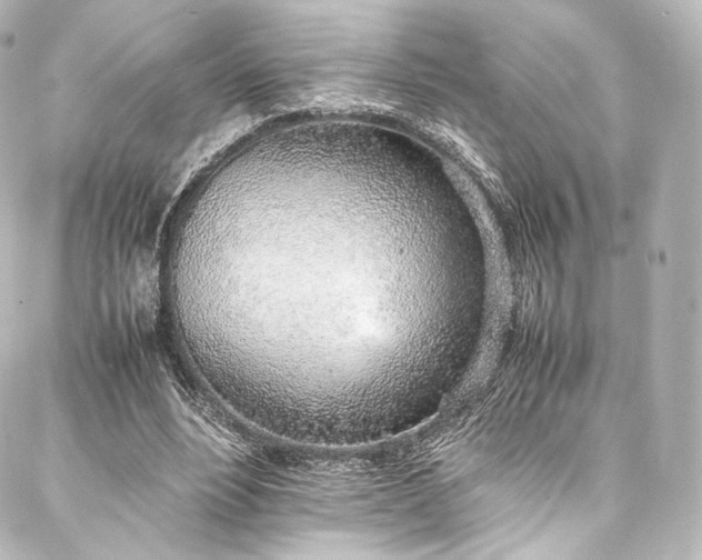 X0000088150488200705141552