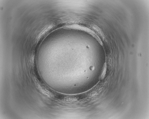 X0000088150491200705141552