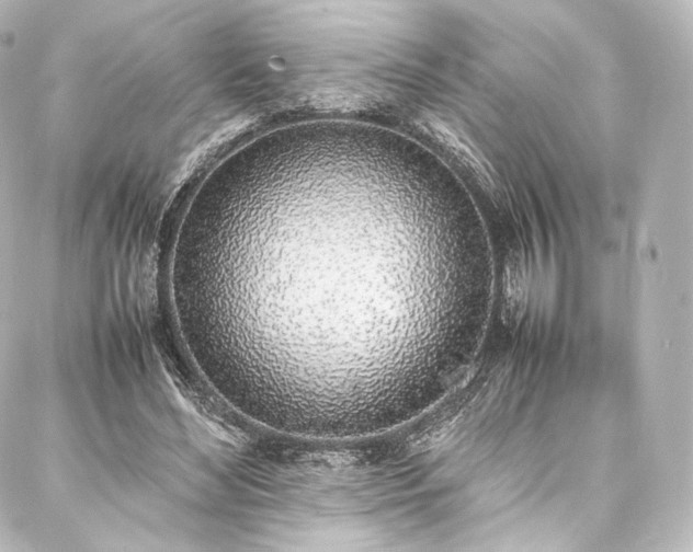 X0000088150492200705141552