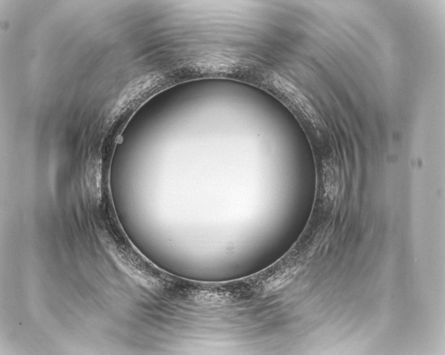 X0000088150494200705141552