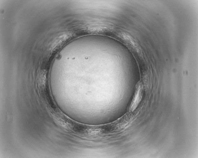 X0000088150495200705141552