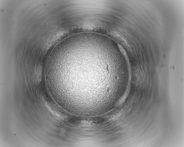 X0000088150496200705141552