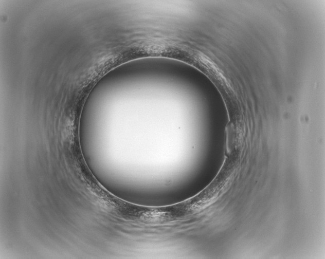 X0000088150497200705141552