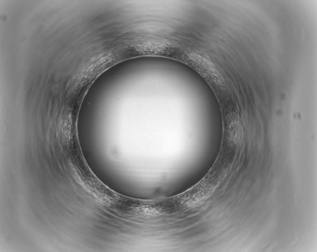 X0000088150498200705141552