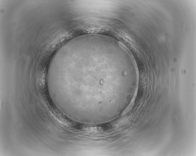 X0000088150499200705141552