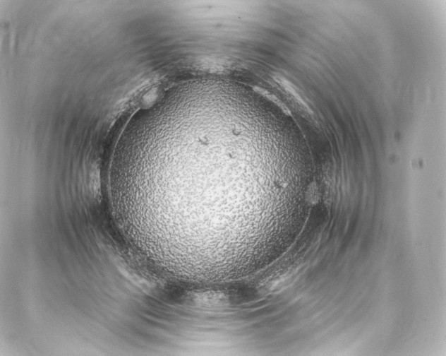 X0000088150500200705141552