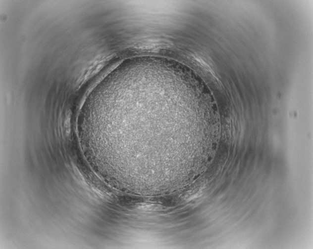 X0000088150504200705141552