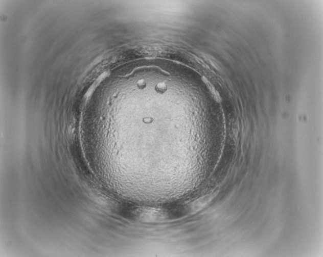 X0000088150507200705141552