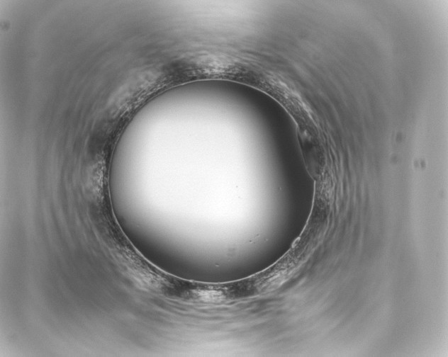 X0000088150509200705141552