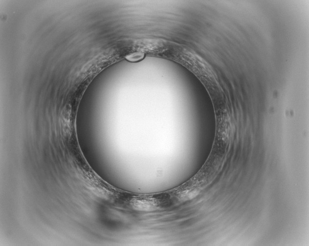 X0000088150510200705141552