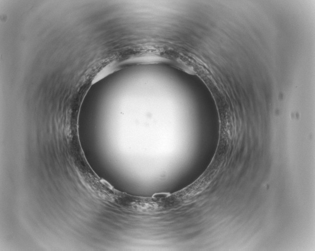 X0000088150512200705141552