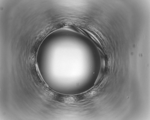 X0000088150513200705141552