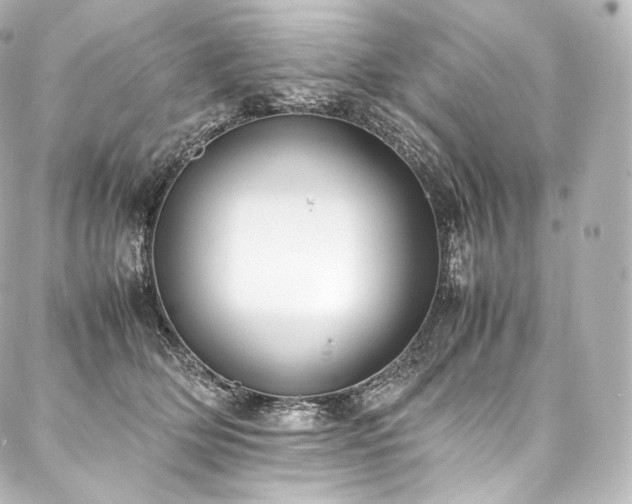 X0000088150514200705141552