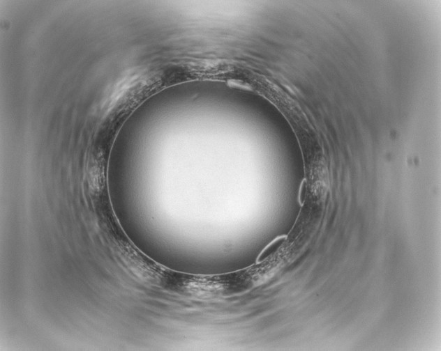 X0000088150515200705141552