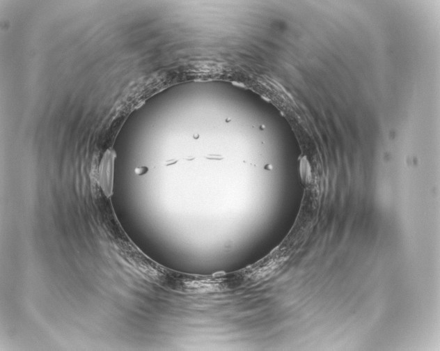 X0000088150516200705141552