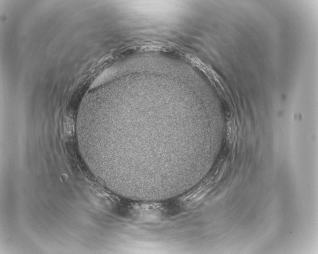 X0000088150517200705141552