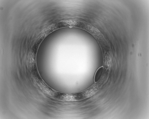 X0000088150518200705141552