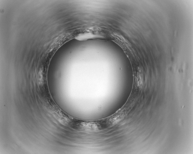 X0000088150520200705141552