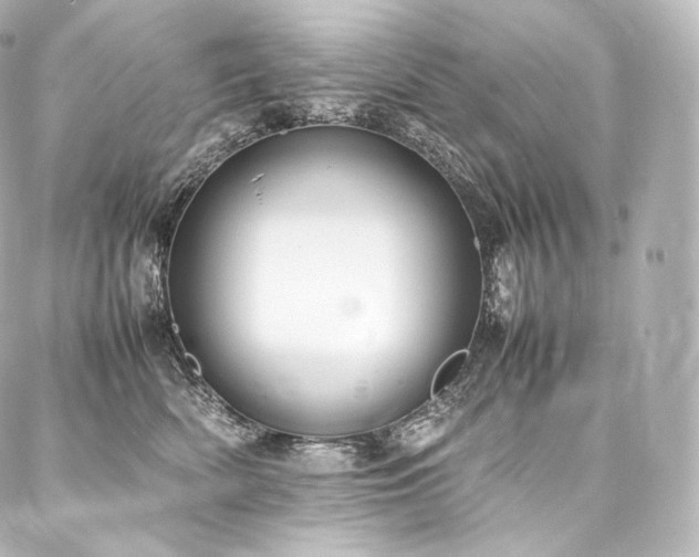 X0000088150522200705141552