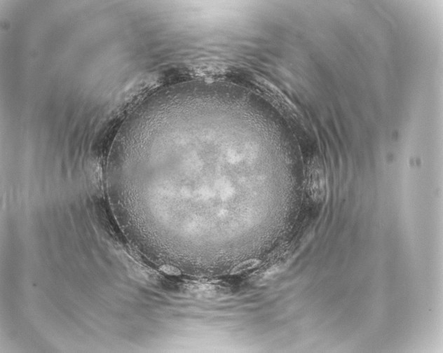 X0000088150523200705141552