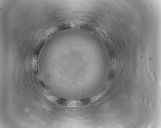 X0000088150527200705141551