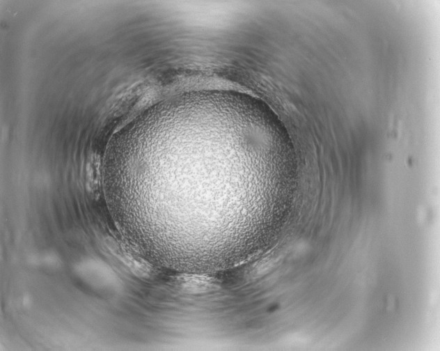 X0000088150528200705141551