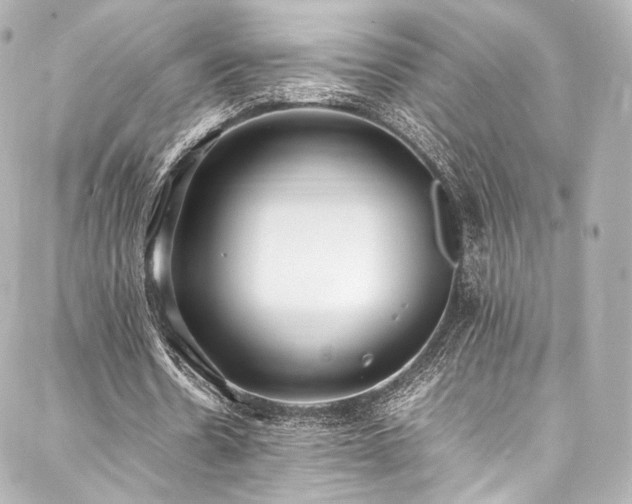 X0000088150530200705141551