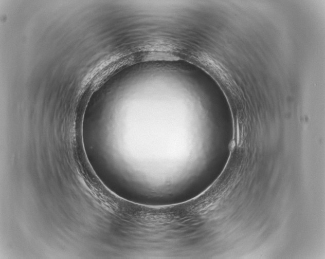 X0000088150531200705141551