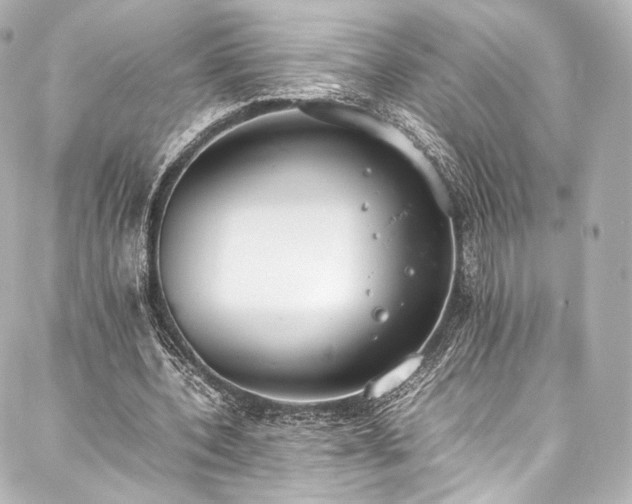 X0000088150532200705141551