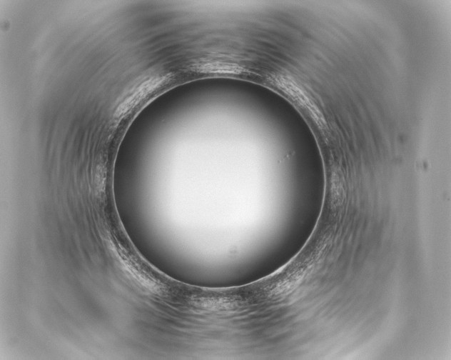 X0000088150533200705141551