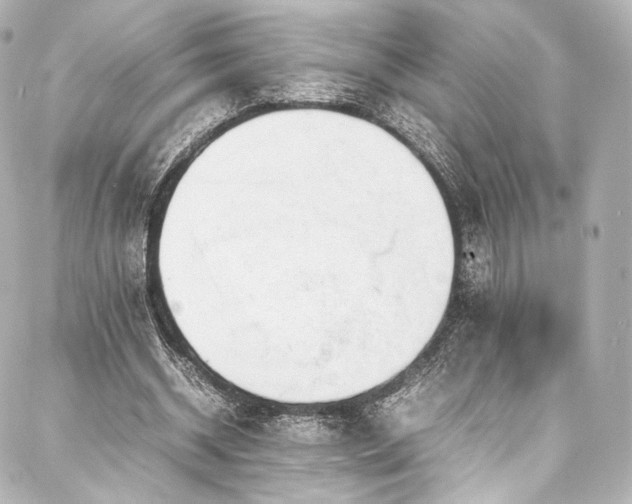X0000088150534200705141551