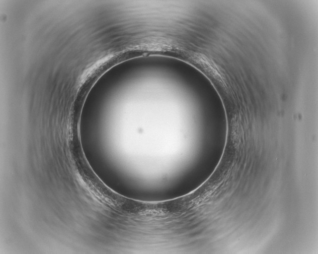 X0000088150536200705141551