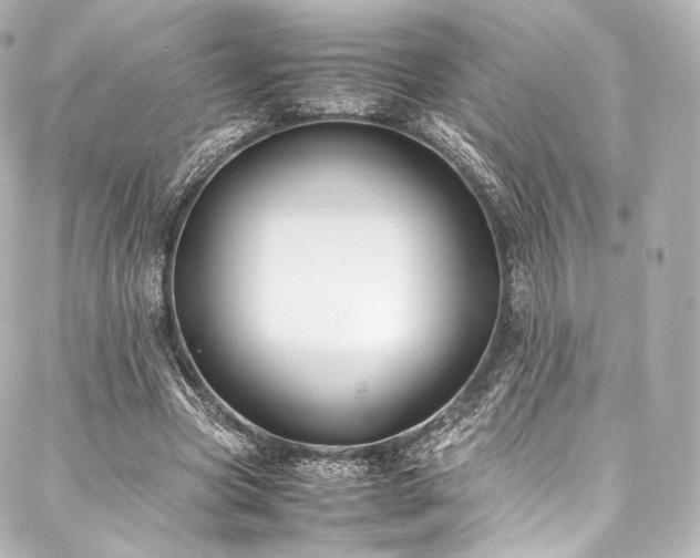 X0000088150537200705141551