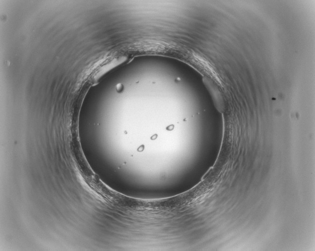 X0000088150538200705141551