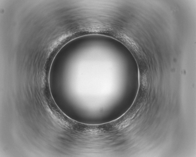 X0000088150540200705141551