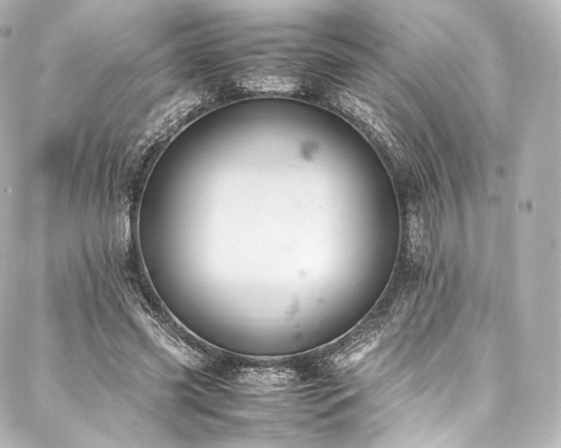 X0000088150541200705141551