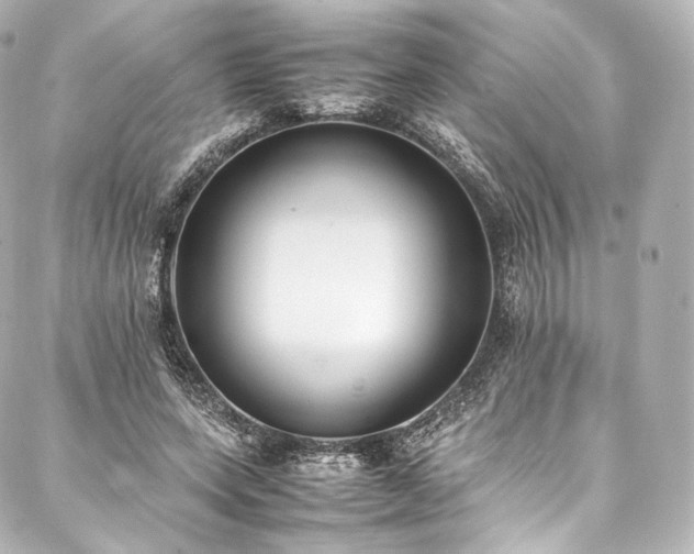 X0000088150543200705141551