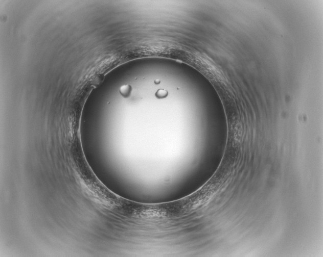 X0000088150546200705141551