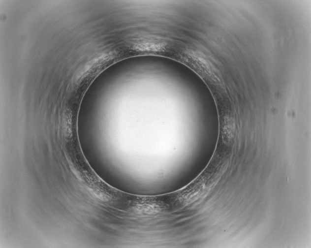 X0000088150547200705141551