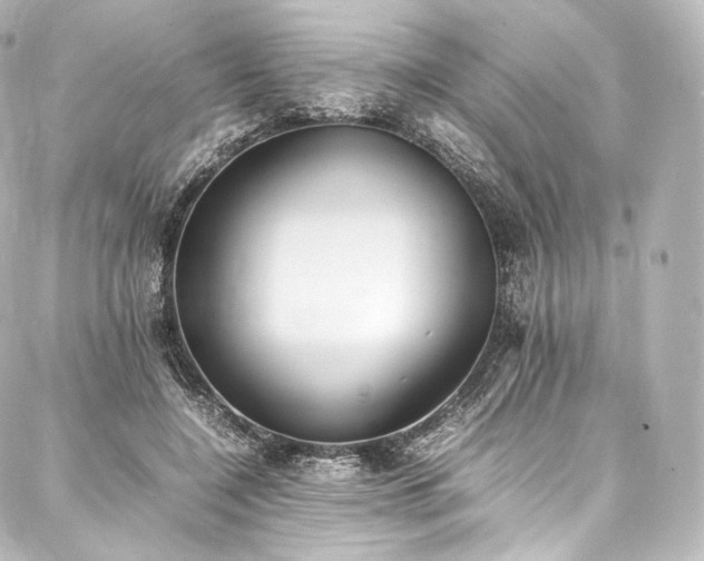 X0000088150548200705141551