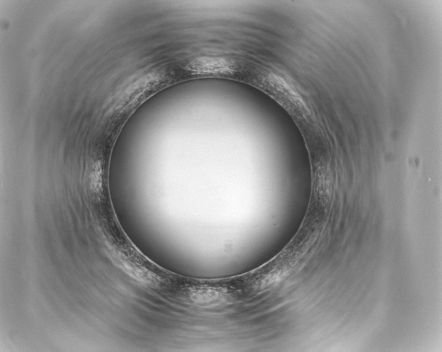 X0000088150549200705141551