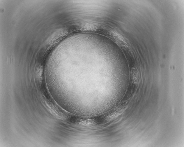 X0000088150550200705141551