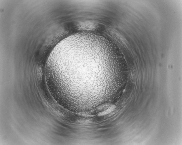 X0000088150551200705141551